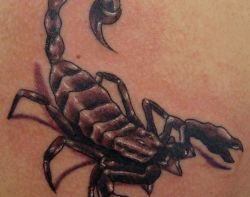 escorpiao