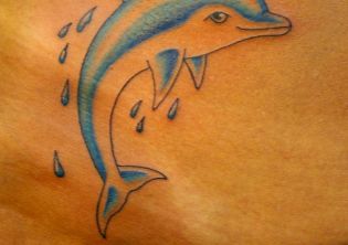 dolphin-5