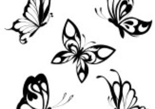 8734536-impostare-le-farfalle-bianchi-neri-di-un-tatuaggio